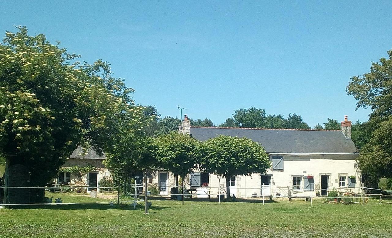 Les Chambres Du Vau Profond Vernoil Esterno foto