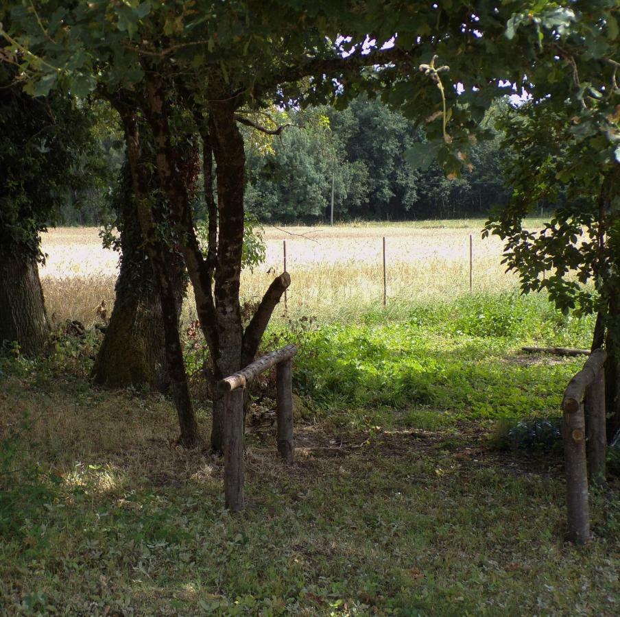 Les Chambres Du Vau Profond Vernoil Esterno foto